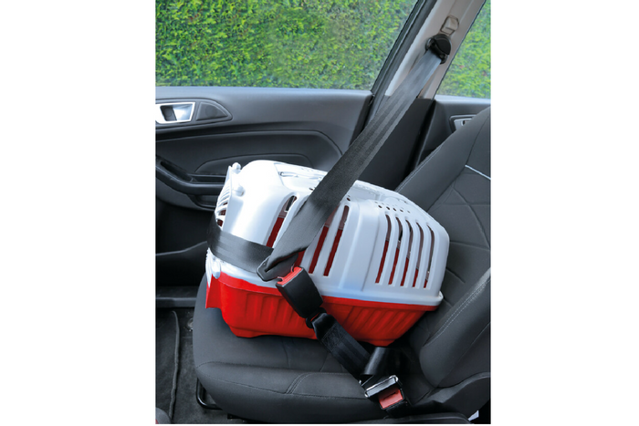 Rallonge de ceinture de sécurité homologuée LAMPA R16, 28-62 cm